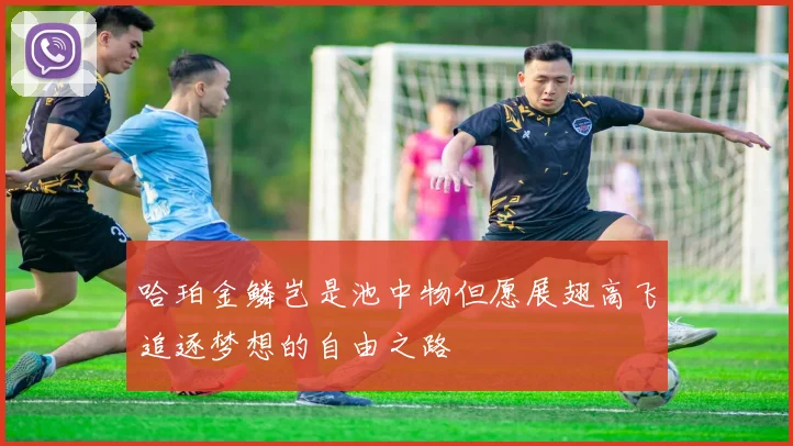 哈珀金鳞岂是池中物但愿展翅高飞追逐梦想的自由之路
