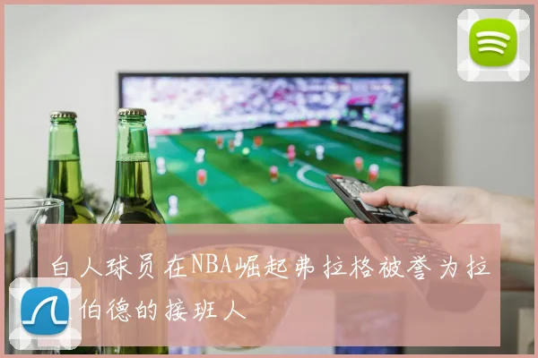 白人球员在NBA崛起弗拉格被誉为拉里伯德的接班人