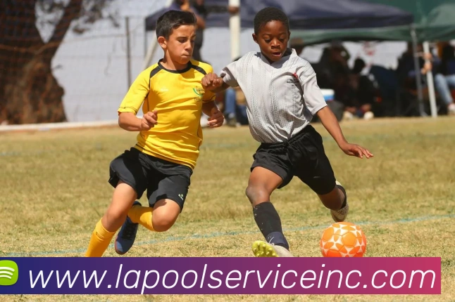 数据分析功能